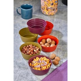 Resim Royaleks Group Plastik Çerezlik Sunumluk 6 Lı Kase Yonca Desen ROYALEKS-HT-001 