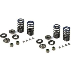 Resim Bajaj Dominar D 250 Subap İtecekleri 