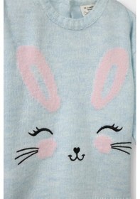 Resim Defacto Kız Bebek Bisiklet Yaka Tavşan Baskılı Triko Kazak F2632a525wnbe216 Mavi-be216 