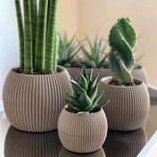 Resim Yeni Özel Mercan Saksı 14cm 