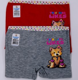 Resim Dondeza Kız Çocuk Baskılı Likralı Ikili Boxer 