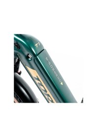 Resim Torc 20 Jant Fatbike Katlanır Elektrikli Bisiklet Yeşil Yeşil 