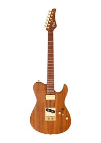 Resim Fujigen Iliad Elektro Gitar Eılew2hsrm/vnt 