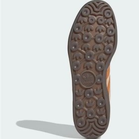 Resim Gazelle Indoor 