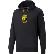 Resim Puma Giyim Sweatshirts Porsche Graphic Hoodie 