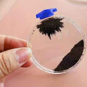 Resim Manyetik Demir Tozu Kutusu ve Mıknatıslar - Fizik ve Elektromanyetizma için Küçük Yuvarlak Sergi Kiti, Öğretim ve Deneyler İçin Mükemmel 