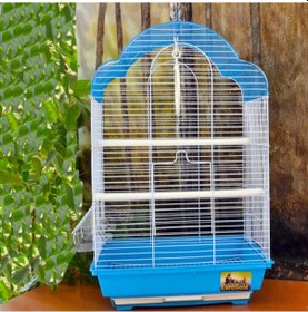 Resim Euro Gold Telli Oval Çatılı Kuş Kafesi Mavi 34.5x28x54.5 Cm 