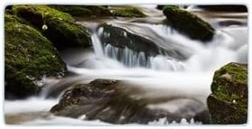 Resim Colorix Carpet Kaymaz Taban Tezgah Önü Mutfak Paspası 75x150 Cm No: 014 