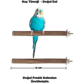 Resim Doğal Ahşap Kuş Tüneği 15 Cm - Gerçek Fındık Dalı 
