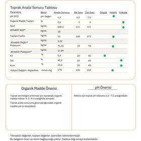 Resim MF Botanik Kaktüs Sukulent 3 Lü Dikim Seti - Dikim Seti (4 Parça) - Toprak (2,5 Lt) - Besin (500 Ml) 