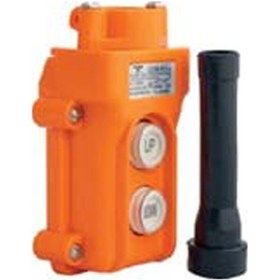 Resim 2 Li Vinç Kumanda Butonu 2no 