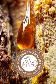 Resim Arifoğlu Çam Terebentin 50 ml %100 Saf Pine Turpentine 