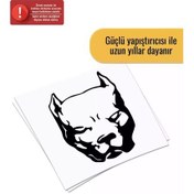 Resim Pitbull Kafası - Araç, Oto, Laptop, Duvar Uyumlu Sticker 60 78 Cm 