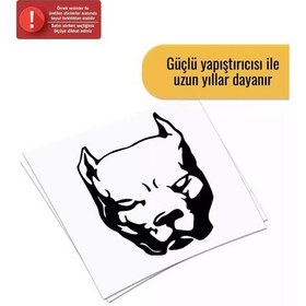 Resim Pitbull Kafası - Araç, Oto, Laptop, Duvar Uyumlu Sticker 60 78 Cm 