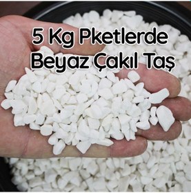 Resim Beyaz Çakıl Taşı Teraryum Terarium Fanus Çakıl Taşı Dekoratif Ak 