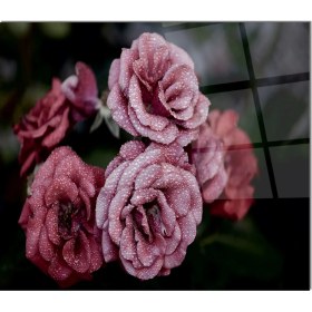 Resim Olinpa Cam Ocak Arkası Koruyucu | Gül Desenli 