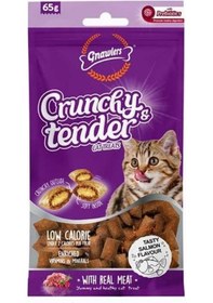 Resim Gnawlers Crunchy Somonlu Prebiotik Destekli Kedi Ödül Maması 65gr 