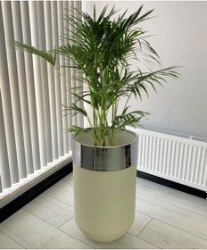 Resim Dekoratif Krom Darbuka Beyaz Saksı 70cm 