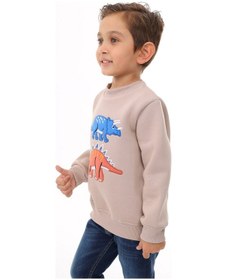 Resim Toontoy Kids Toontoy Erkek Çocuk Nakışlı Sweatshirt Bej 