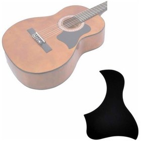 Resim Extreme Pg165 Bk Pickguard 