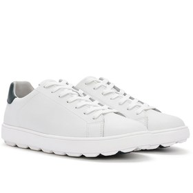 Resim Geox Erkek Beyaz Spherica Ecub Bağcıklı Deri Sneaker - Beyaz / 4 