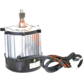 Resim Elektrikli Üç Tekerli Dc Motor 60-1200 W 