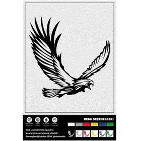 Resim Kartal Stıcker 45 X 45 Cm 
