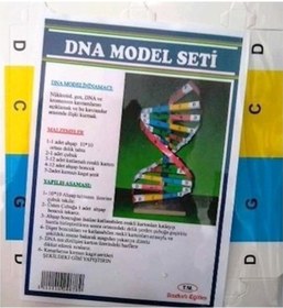 Resim Dna Model Yapım Deney Seti 