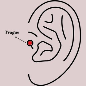 Resim 316l Çelik Gümüş Renk Zirkon Taşlı Kalp Tragus Piercing Gümüş 