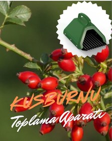 Resim Kuşburnu Toplama Aparatı Metal Tırnaklı Plastik Bsr Garden 
