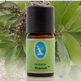 Resim Defne Nuka Essencia Niaoli Yağı 5 ML 