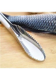 Resim Pratik Balık Pulu Kazıyıcı Aparat Diğer 