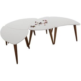 Resim Çember Orta Sehpa Beyaz 