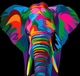 Resim Sayılarla Boyama Seti - Fil - 40x50 