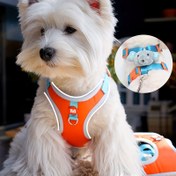 Resim Ayarlanabilir Karikatür Fil Köpek Tasması ve Tasma Seti - Küçükten Orta Boy Irklar için Rahat Uyumlu Yelek, Polyester 