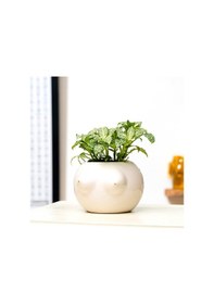 Resim Serenity White El Yapımı Seramik Vazo Renkli 