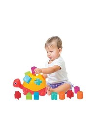 Resim Dede Kaplumbağa Bul-tak 03450 