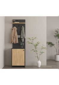 Resim Safir Meşe- Antrasit Portmanto 