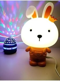 Resim Rcb Yıldız Yansımalı Sihirli Küre Ve Tavşan Led Gece Lambası 