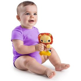 Resim Bright Starts Sevimli Çıngırak & Dişlik Arkadaşım Aslan Renkli 