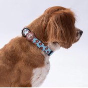 Resim Pawstar Bears Boyun Tasması M Boyun Çevresi: 32 Cm X 48 Cm Çok Renkli 