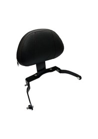 Resim Honda Forza 250 2023 - 2024 Uyumlu Sissy Bar Çok Renkli 