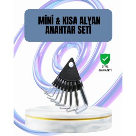 Resim KSB Store 9 Parça Alyan Anahtar Seti Altıgen Uçlu Mobilya ve Tamir Için - Lisinya 