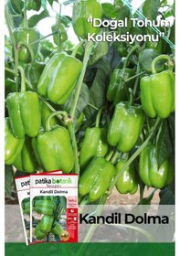 Resim Patika Botanik 200 Adet Kandil Dolma Biber Tohumu 