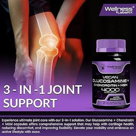 Resim Wellness Labs Glucosamine + Chondroitin + MSM 4000mg - 120 Capsules 