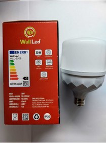 Resim Home DEMİR ELEKTRİK - WALLED 30 WATT TORCH AMPUL 