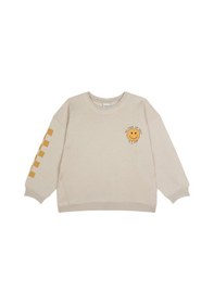 Resim Antebies Bej Sarı Uzun Kollu Erkek Çocuk Sweatshirt Çok Renkli 