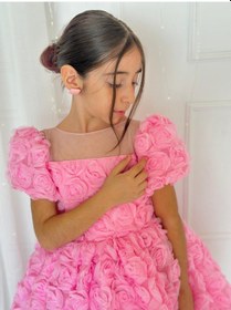 Resim H L Y Karol Tasarım Pembe Güllü Diana Vintage Kız Bebek Elbise,doğum Günü Elbise,fotoğraf Çekim Elbise,0-12 Yaş Uygun Pembe 
