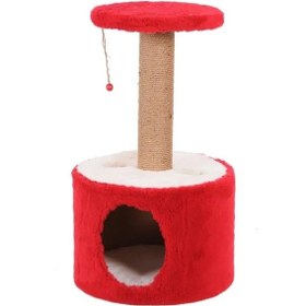 Resim Kırmızı Renkli Kedi Tırmalama, Roll Tasarımı 