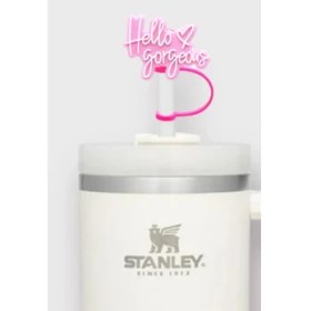 Resim Stanley Quencher Su Matarası Termos Matara 3D Pipet Ucu Tıpası 